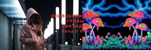 соль ск Арсеньев