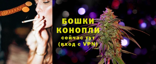 соль ск Арсеньев