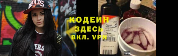 соль ск Арсеньев