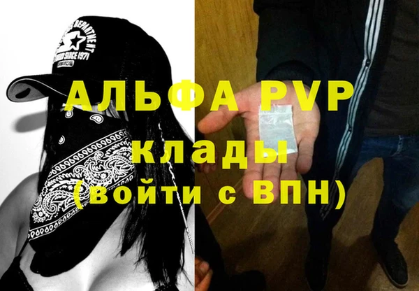 индика Семёнов