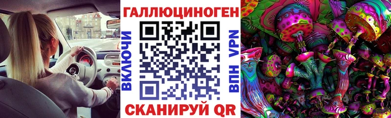 OMG ONION  Можайск  Галлюциногенные грибы MAGIC MUSHROOMS 